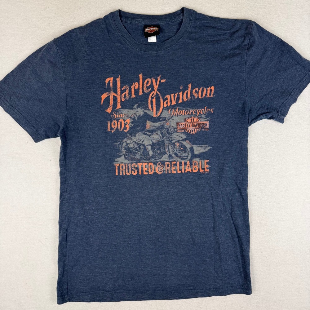 Harley-Davidson Zion Washington Utah Graphic T-Shirt Blue Womens Large